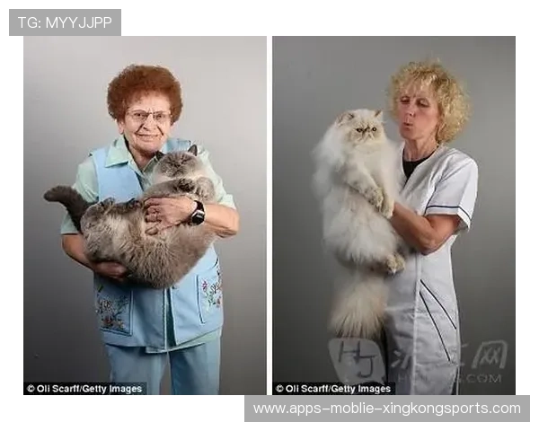 世界冠军与萌萌猫咪的甜蜜合照:温暖瞬间瞬间点亮你的心 世界冠军与萌萌猫咪的甜蜜合照:温暖瞬间瞬间点亮你的心