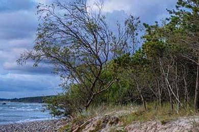 FaZe开启LOL直播系列挑战赛，英雄联盟faker直播