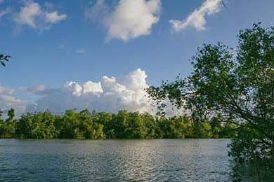 EDG选手比赛录像分析分享，edg选手比赛录像分析分享