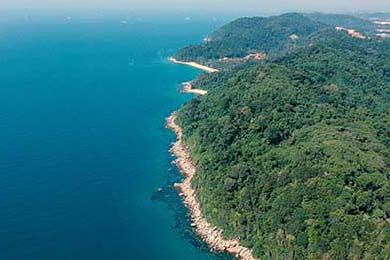 EDG战队核心选手复出时间确认，edg战队核心选手复出时间确认了吗